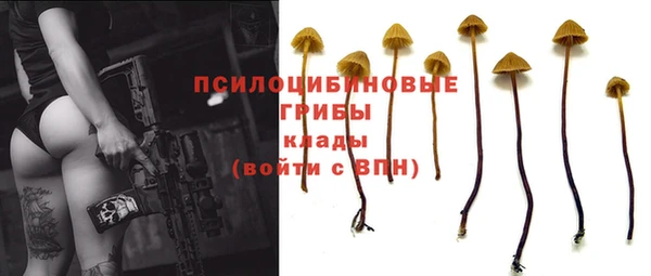 гашик Абдулино