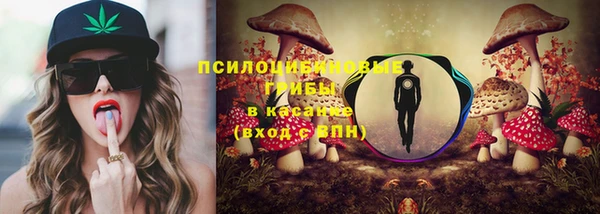 гашик Абдулино